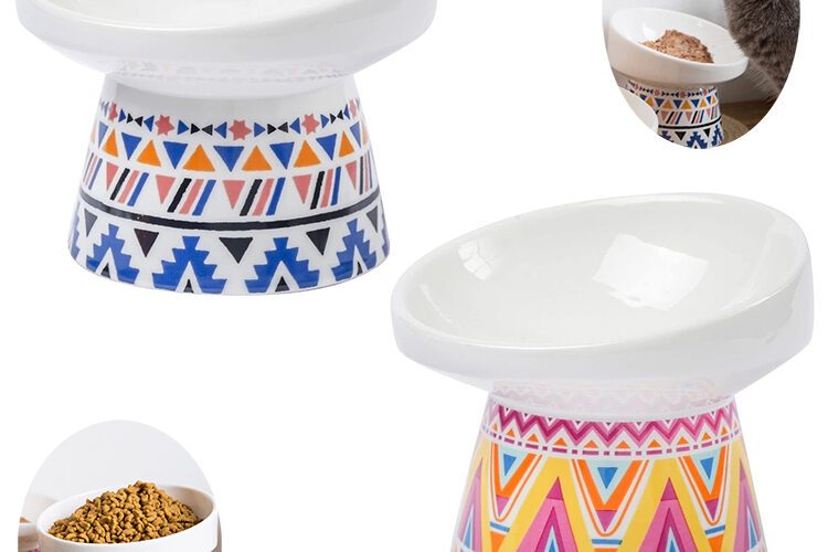 Stylish Tilt Raised Ceramic Pet Bowl (4)