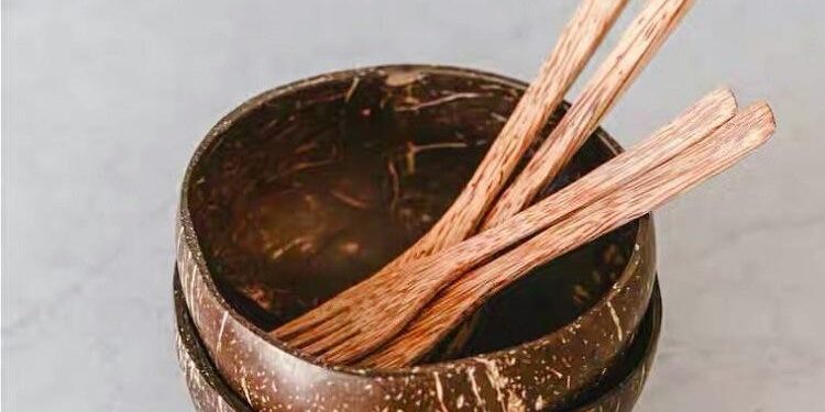 shell bowls with wooden spoons set