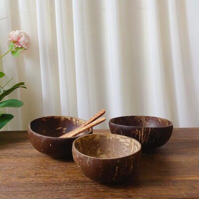 shell bowls with wooden spoons set