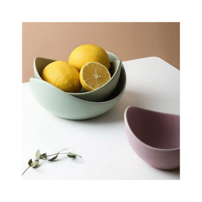 Morandi color ceramic bowl set