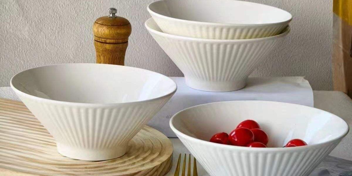 ceramic noodle bowl set for stylish dining