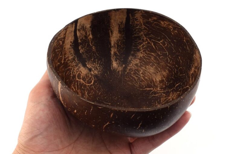 Natural coconut shell bowl set