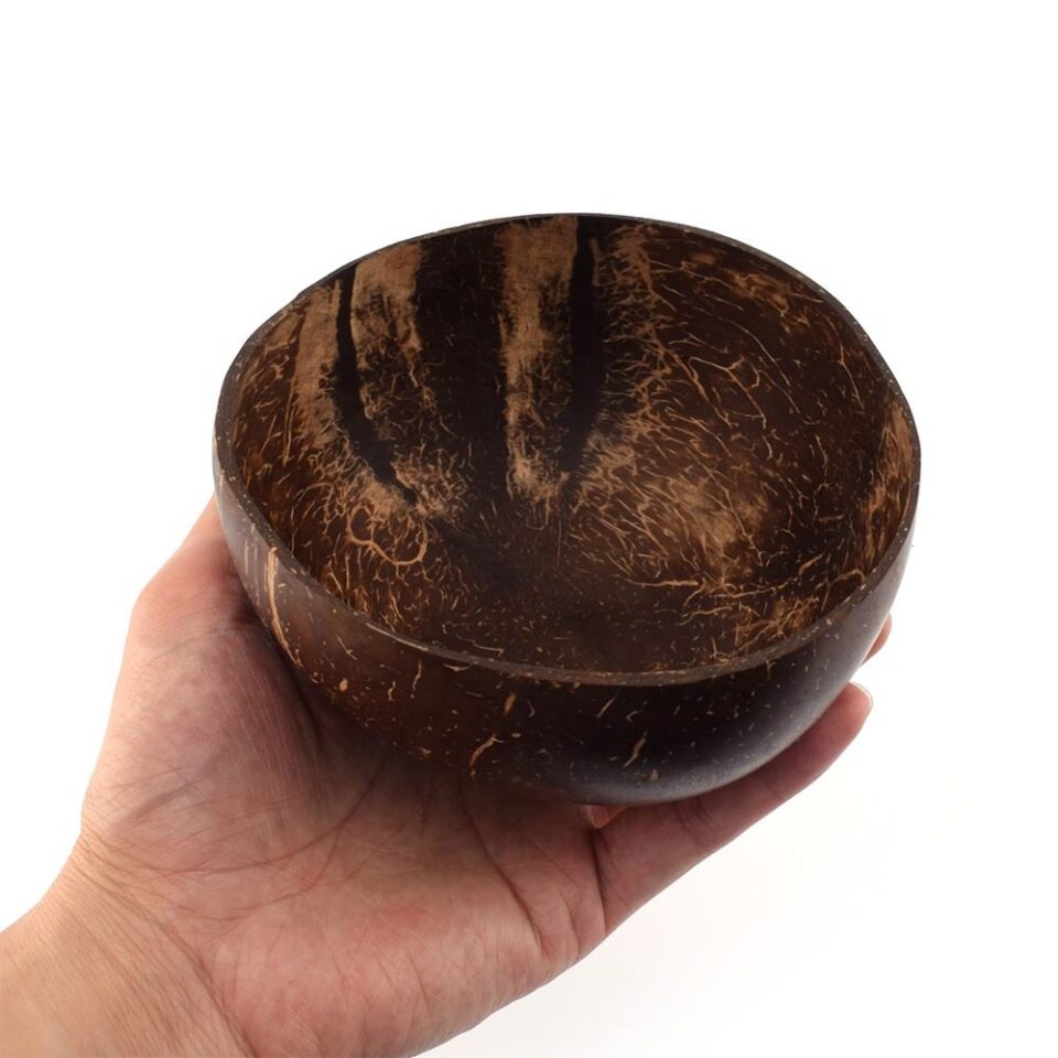 Natural coconut shell bowl set