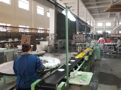 Ceramic Bowl Glazing and Inspection Production Line